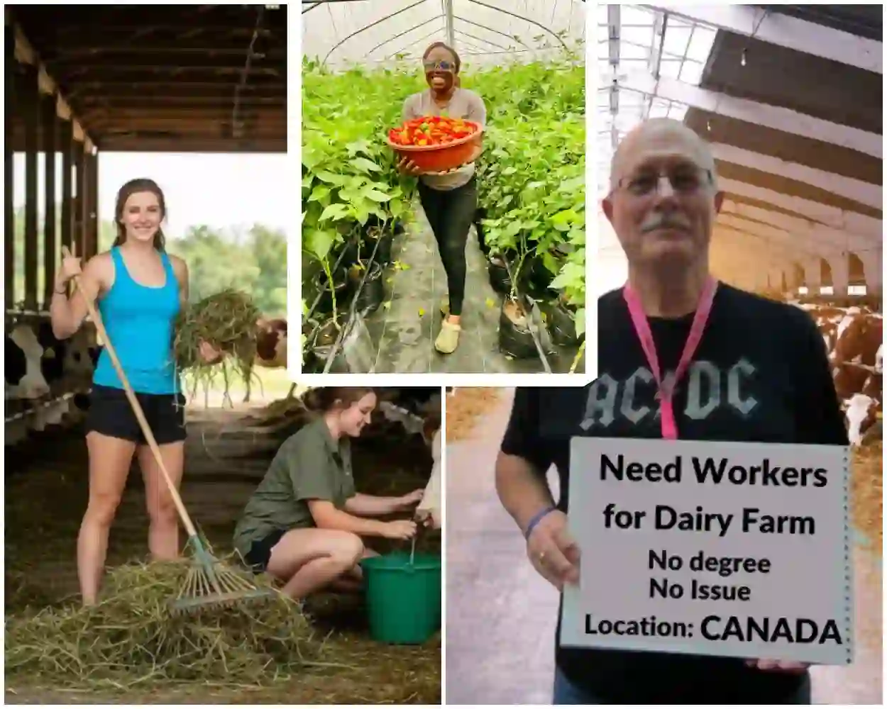 Farm Jobs in Canada with Free Visa Sponsorship